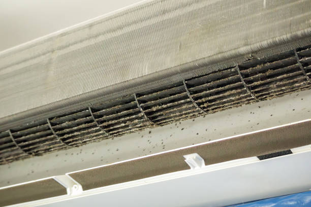Best Affordable Air Duct Cleaning  in Jacobus, PA